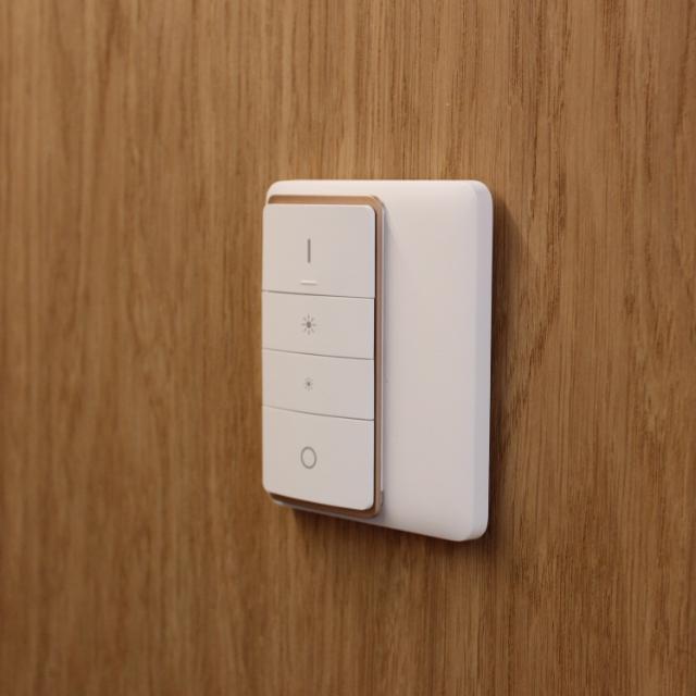 CUE Remote control SingleWhite